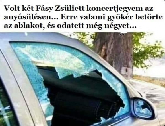 A gyökér...