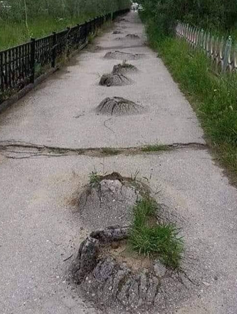 Amikor egy vakond bepiál, és vagánykodni kezd