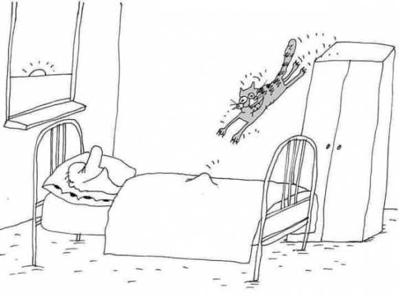 Cirmi nem bír magával