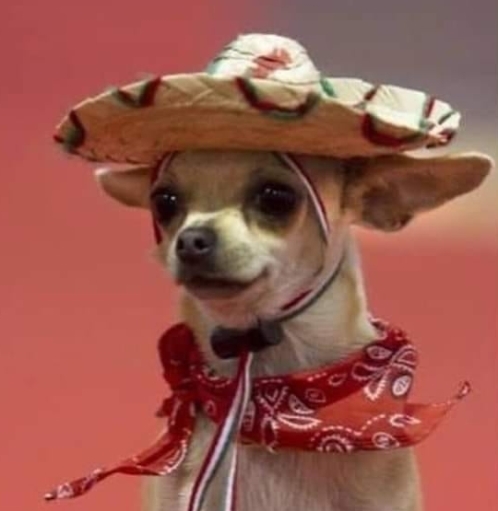 Amikor már tudsz 5 szót spanyolul...