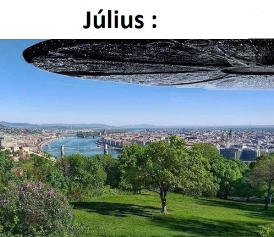 Oké most kicsit sz@r, de a július már jobb lesz...
