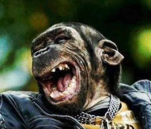 Megjött a családi gyerekek!