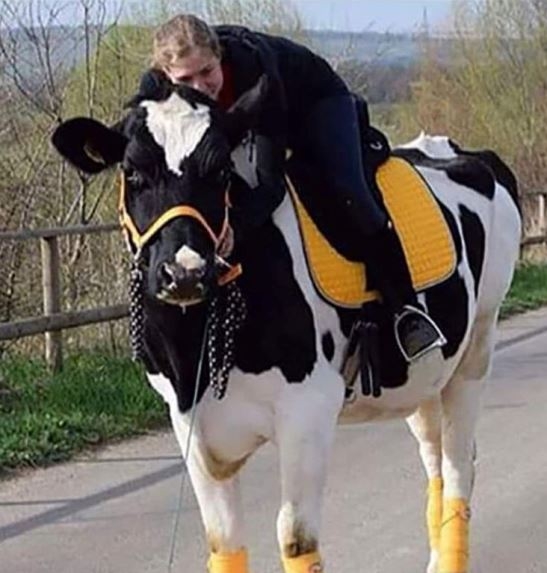 Mónikának két szenvedélye van...