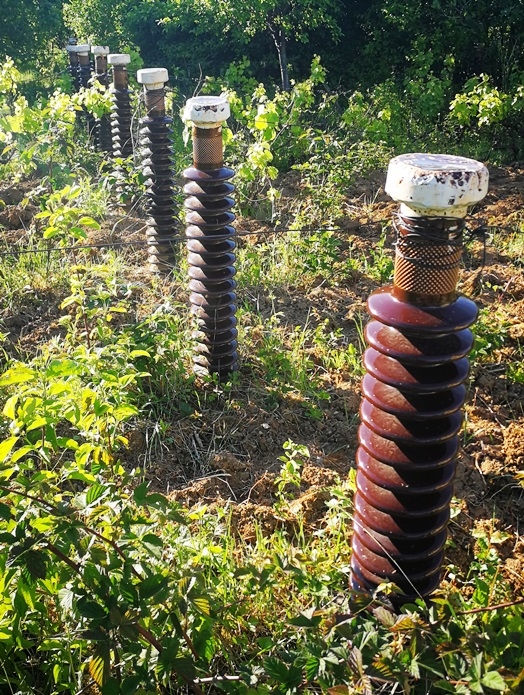 Amikor az áramszolgáltatónál dolgozol, és szőlőskerted is van...