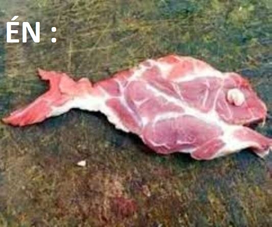 Tegnap voltam dokinál