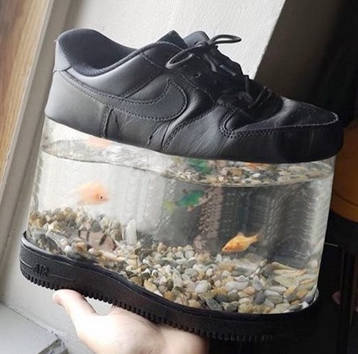 Rendhagyó akvárium