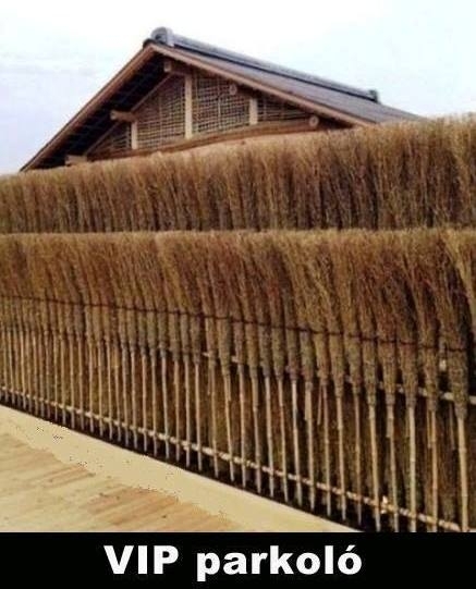 Nemzetközi anyóstalálkozó