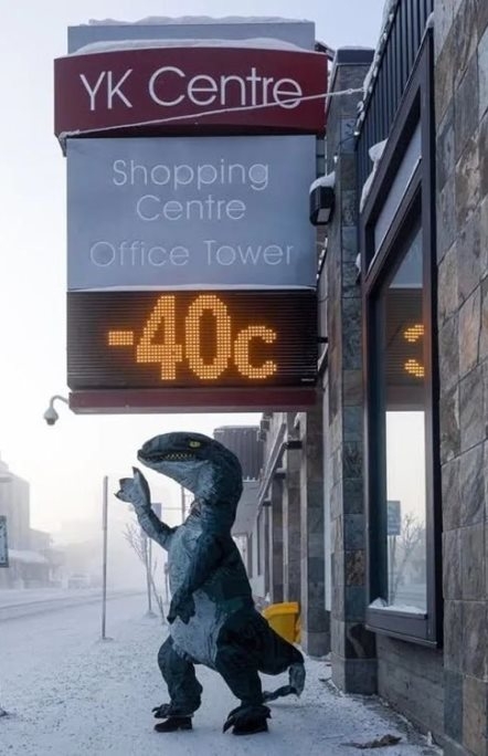 Téli emlék Kanadából