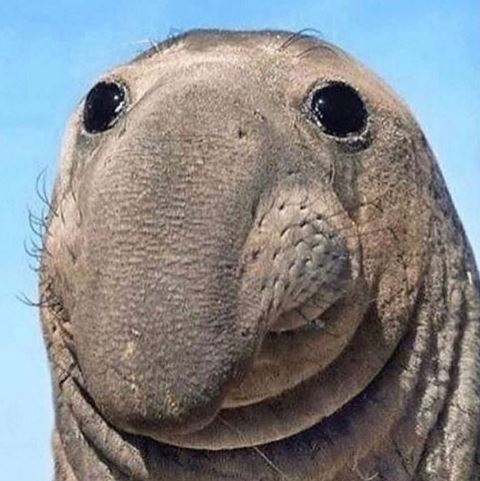 Amikor anyuci azt mondja :