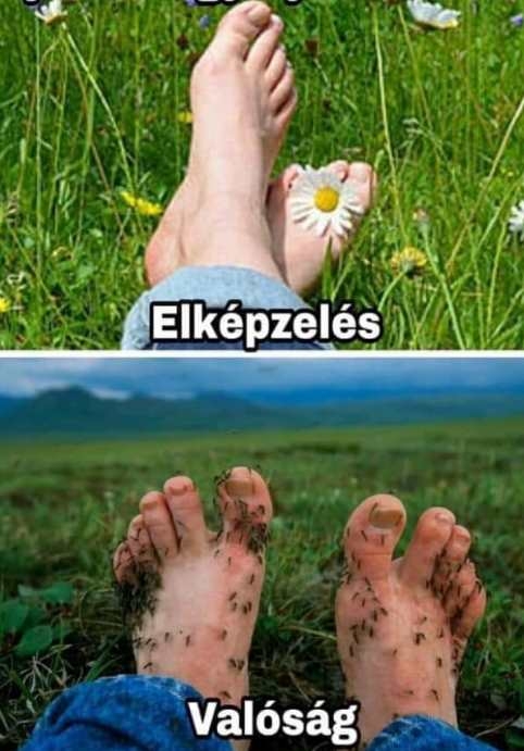 Ejtőzés egy nyári mezőn