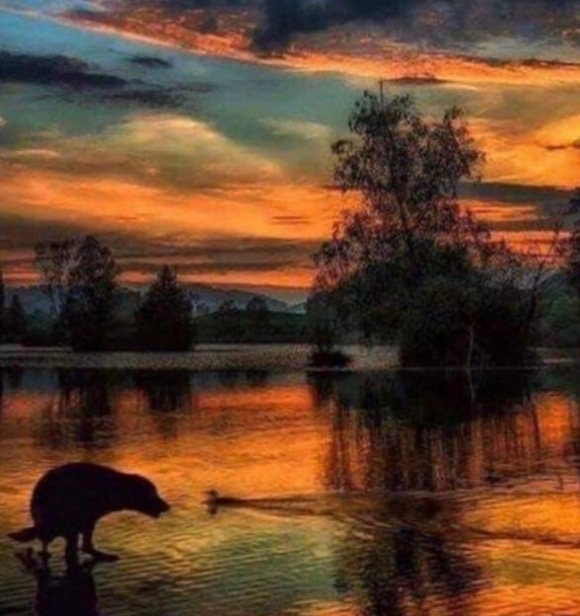 Pedig az év fotója lehetett volna