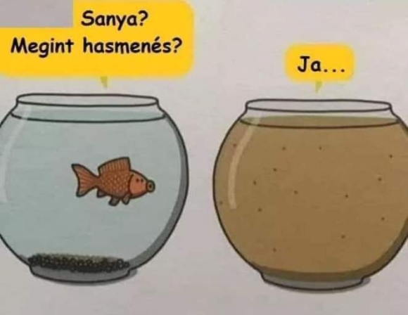 Sanyának sz@rul indul ez a hét