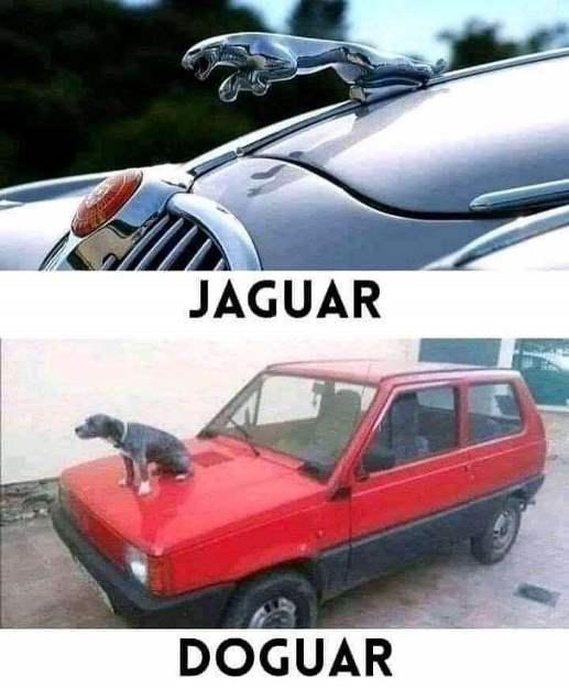 Csóró ember limuzinja