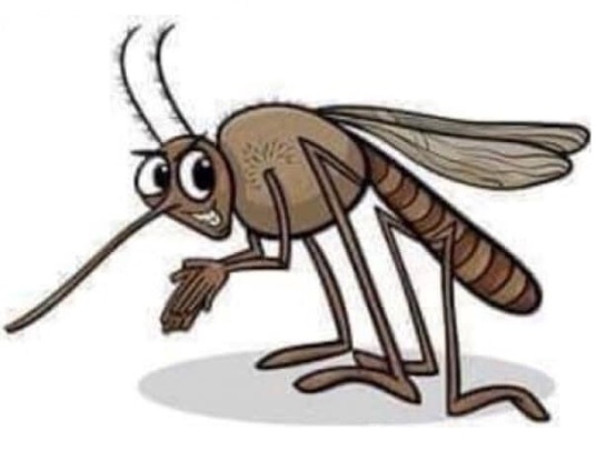 Mostanáig egyedül aludtál?