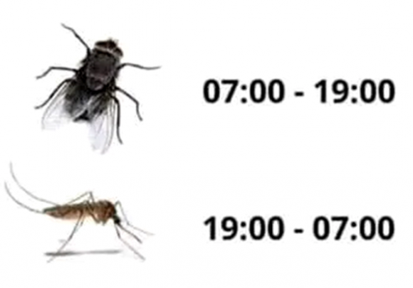 Nyári időszámítás