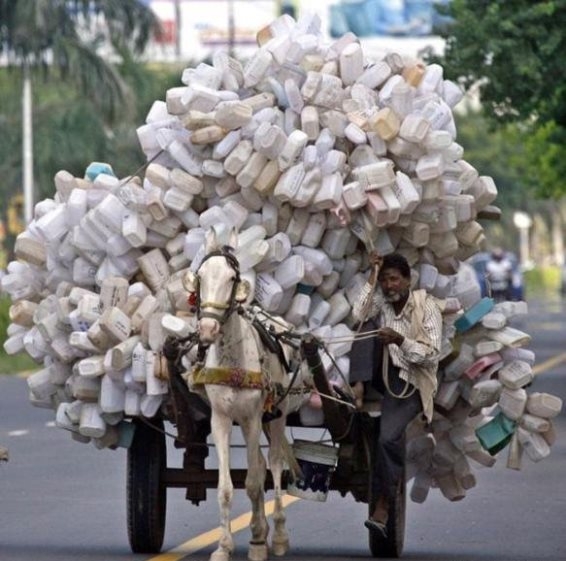 Íme Ali - Az indiai való világ nyertese