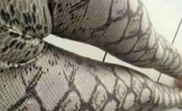 Ez vajon milyen kígyó lehet?