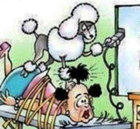 Eljött a bosszú ideje