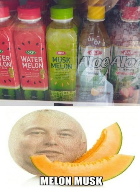 Melon Musk