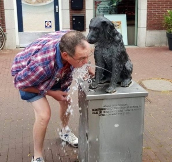 Lenne hozzá gusztusod?