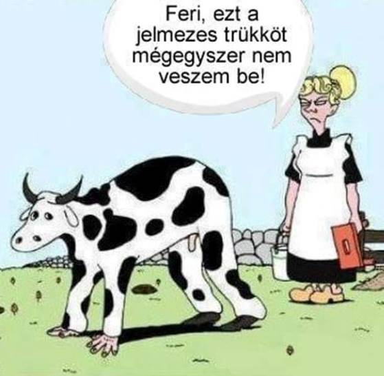 Próbálkozik az öreg