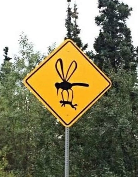 Vigyázat, qrva nagy szúnyogok!