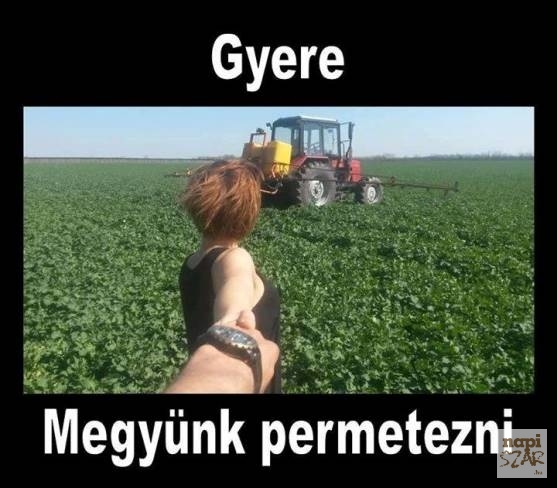 Drágám, én inkább söröznék a haverokkal!