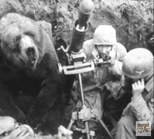 II. világháborús kép