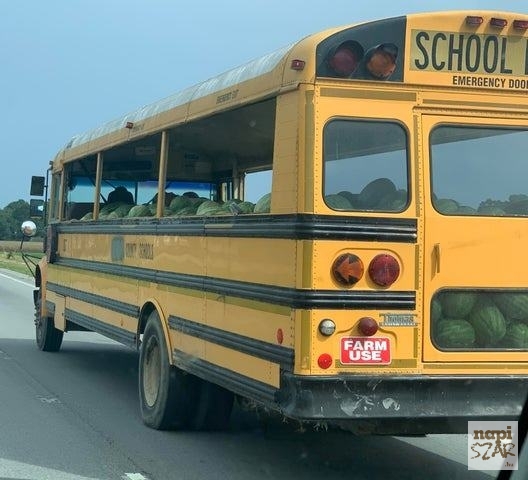 Bevállalt pár plusz fuvart, amíg nem kezdődik a suli