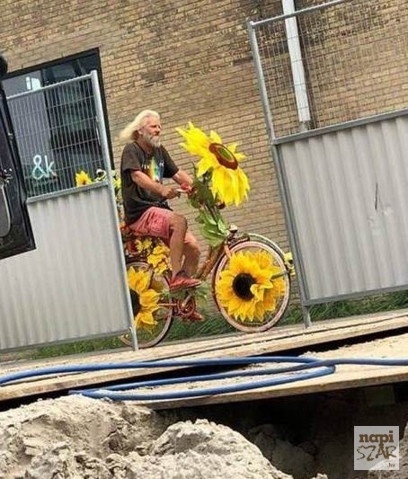 Aki a virágot szereti...