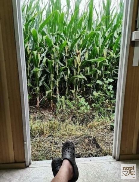 Szoba kiadó, tengeri kilátással