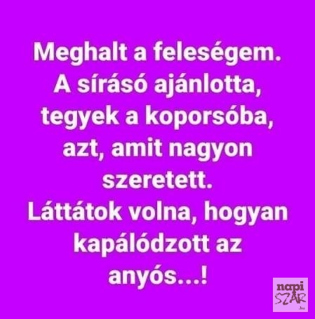 Egy bizarr történet