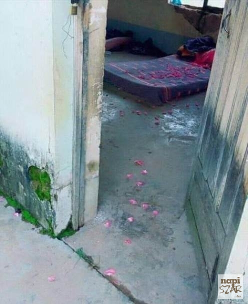 A rózsa és szirmai szinte egybeolvadnak a romantika és a szerelem fogalmával