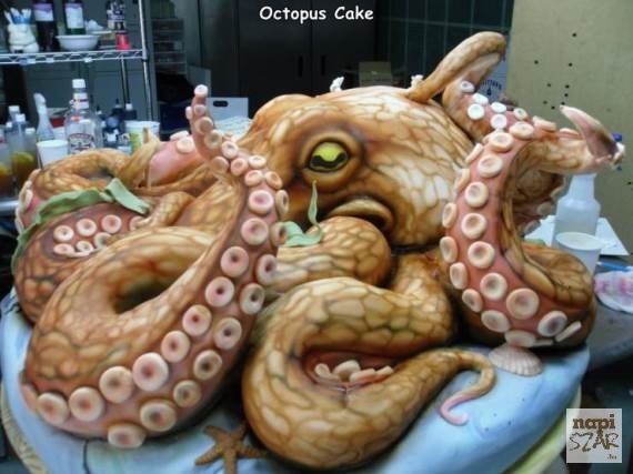 Jól sikerült polip torta