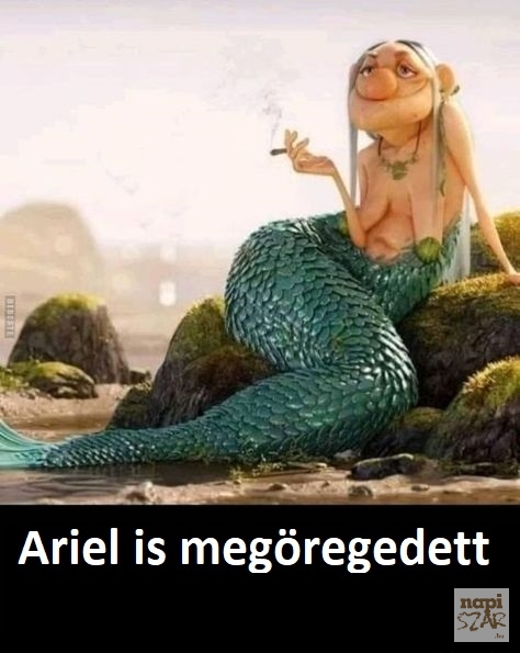 A hableányokat sem kíméli az idő