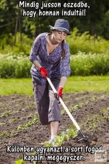 E heti jótanácsunk