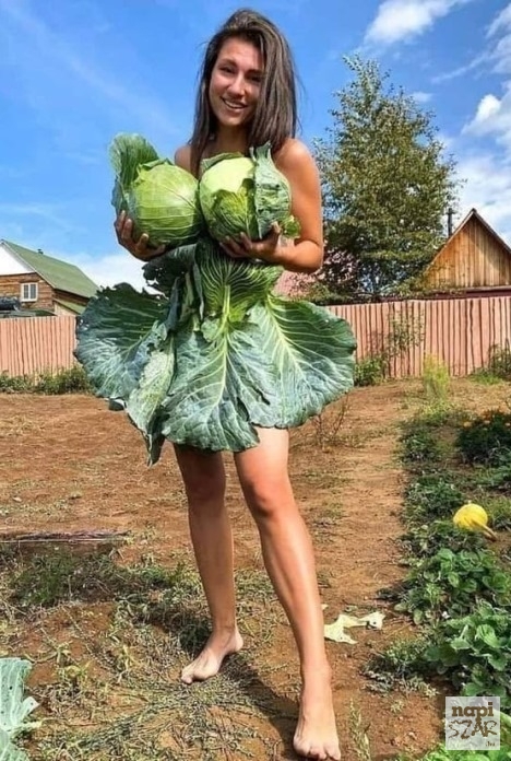 Itt az ősz, itt van újra!