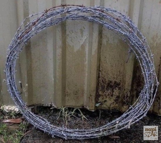 Hullahopp karika - 2020-as verzió