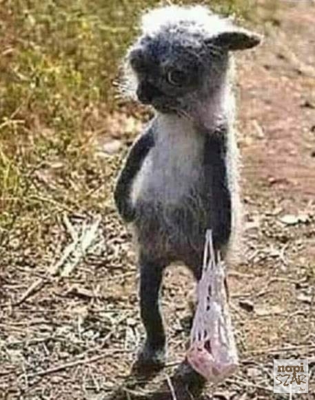 Amikor hó végén slattyogsz haza a Pennyből