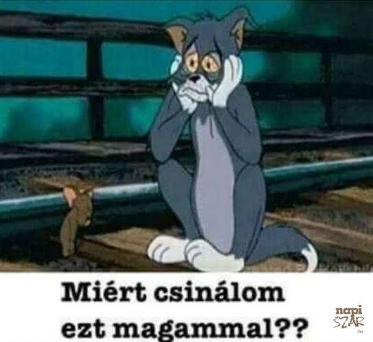 Amikor este sokáig fent lógok a neten és reggel korán kell kelnem