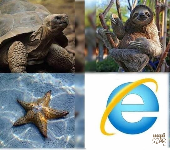 Lassúsági versenyt hirdettek