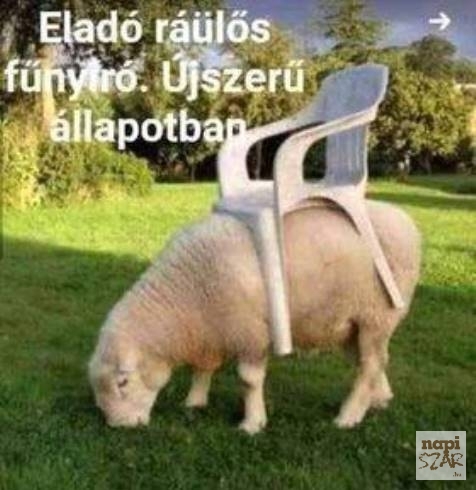 Egy érdekes ajánlat