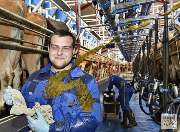 Neki sz@rul indult a reggel