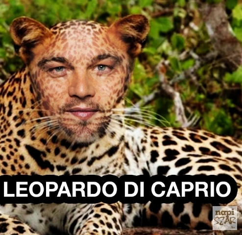 Hétvégi zsibbasztó