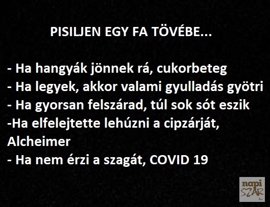 Díjmentes vizeletvizsgálat