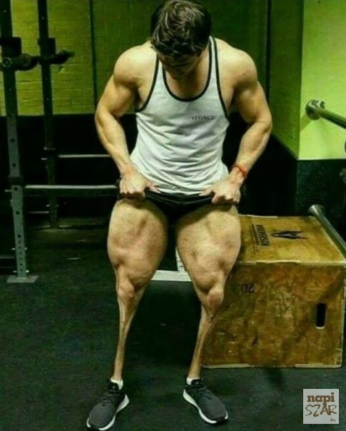 Amikor túl sok csirkecombot ettél