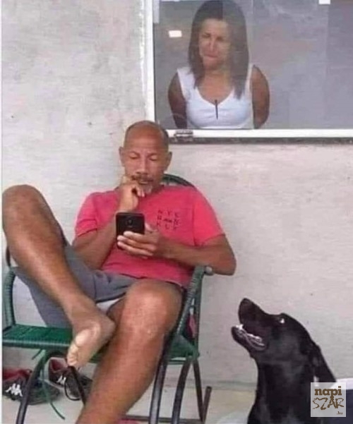 Buksi már tudja, hogy ma pofozkodás lesz