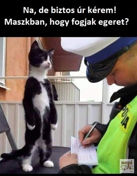 A szabály, az szabály - Nincs kivétel