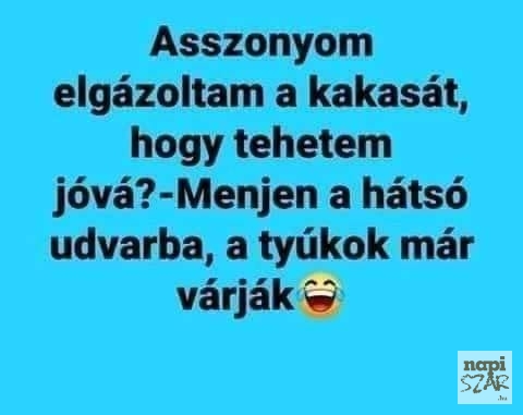 Nem erre a válaszra számított
