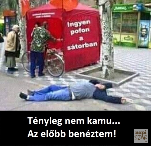 Ingyen pofon a sátorban